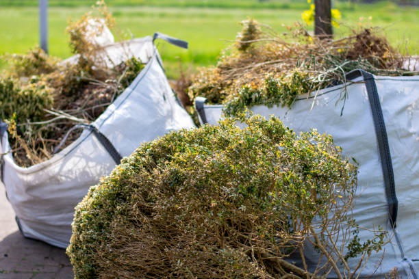  Edgewater, CO Junk Removal Pros